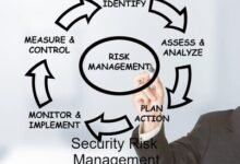 Risk Management Services for Business Protection