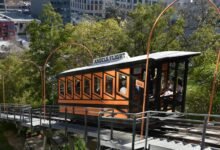 elevate your marketing platform