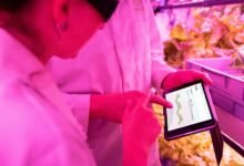 maximize growth with tools